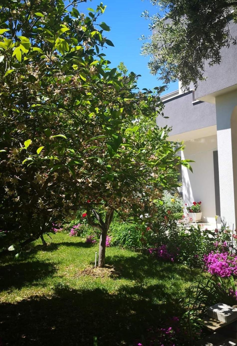 Apartmani Dianna Kaštela Exteriér fotografie